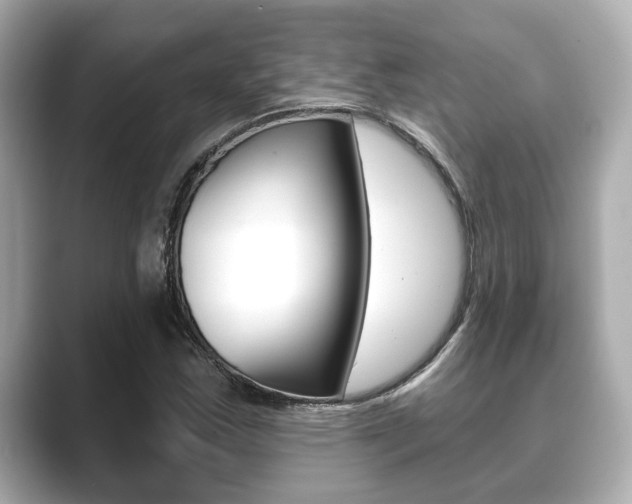 X0000089681163200706210808