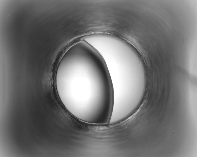 X0000089681164200706210808