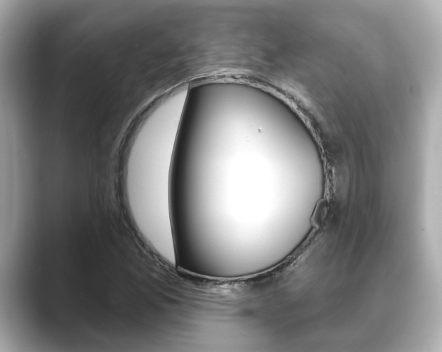 X0000089681165200706210808
