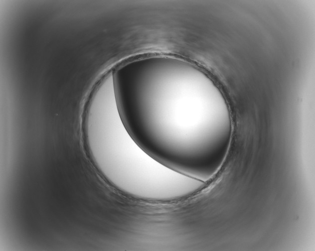 X0000089681168200706210808
