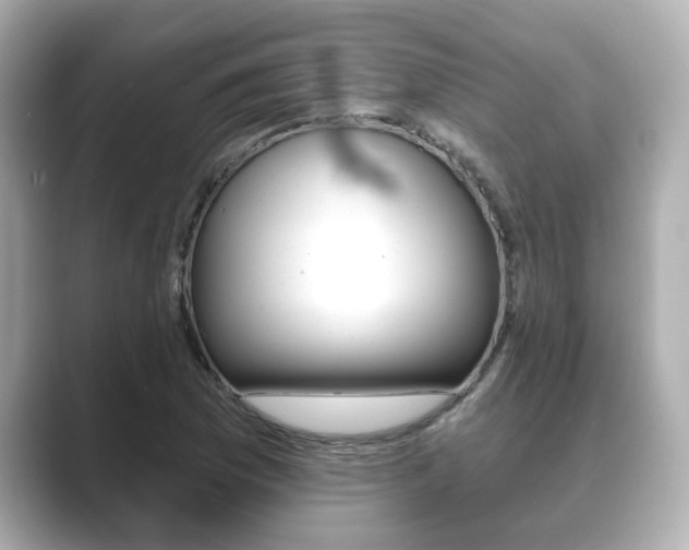 X0000089681169200706210808