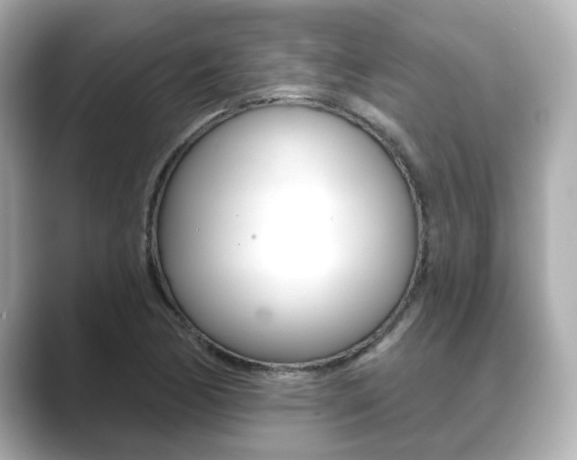 X0000089681170200706210808