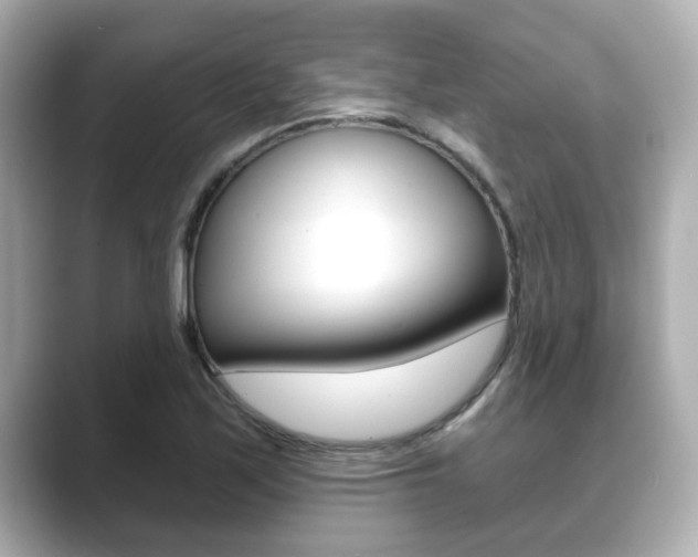 X0000089681171200706210808