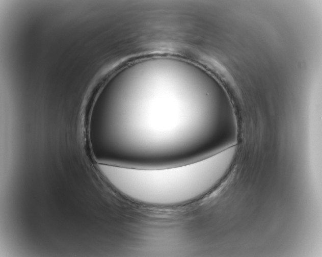 X0000089681172200706210808