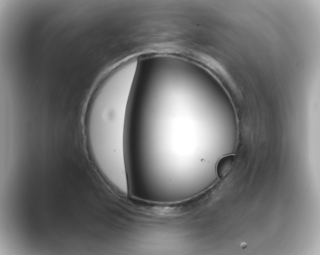 X0000089681176200706210808