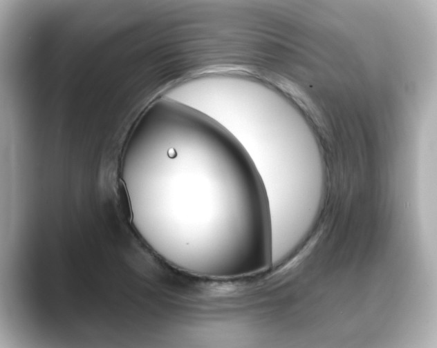X0000089681177200706210808