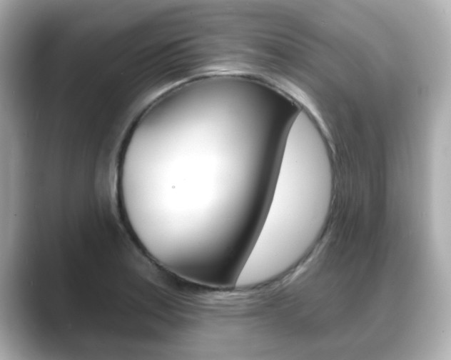 X0000089681179200706210808