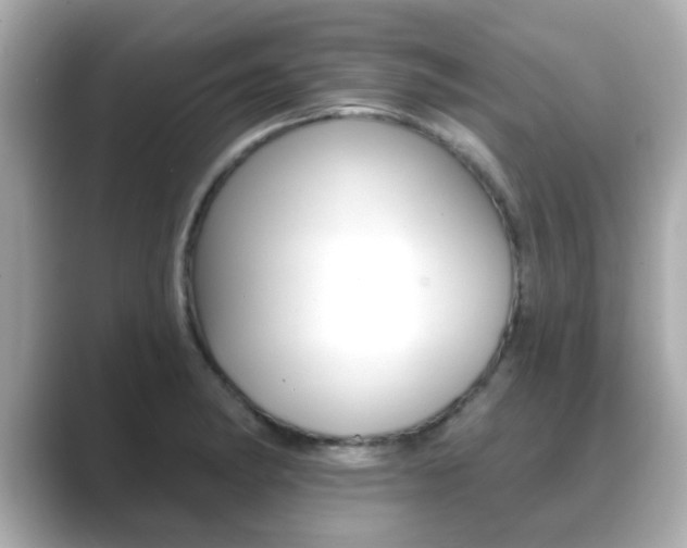 X0000089681182200706210808