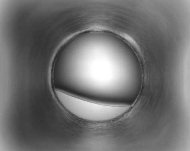 X0000089681183200706210808