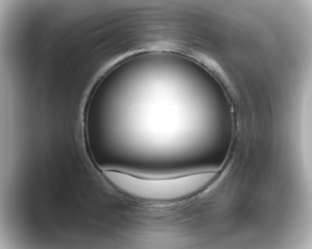 X0000089681184200706210808