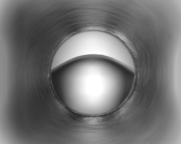 X0000089681185200706210808
