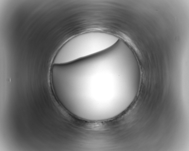 X0000089681186200706210808