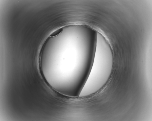 X0000089681187200706210808
