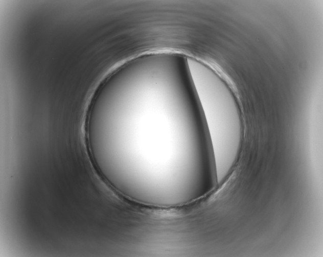 X0000089681189200706210808
