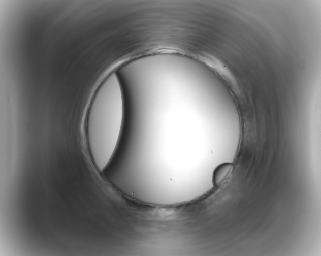 X0000089681190200706210808