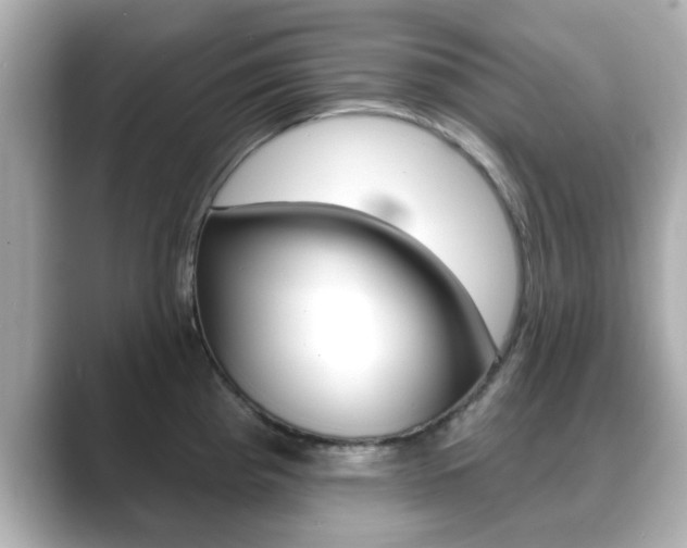 X0000089681193200706210808