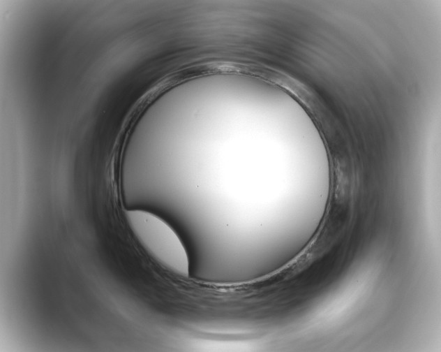 X0000089681198200706210808