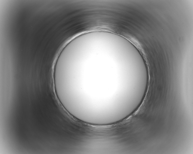 X0000089681200200706210808