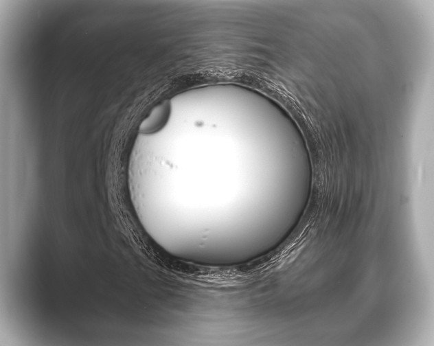 X0000089681201200706210807