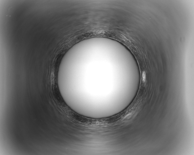X0000089681203200706210807