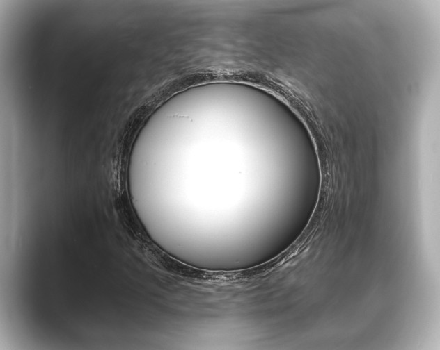 X0000089681205200706210807