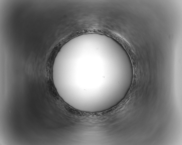 X0000089681207200706210807