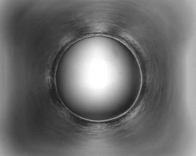 X0000089681210200706210807