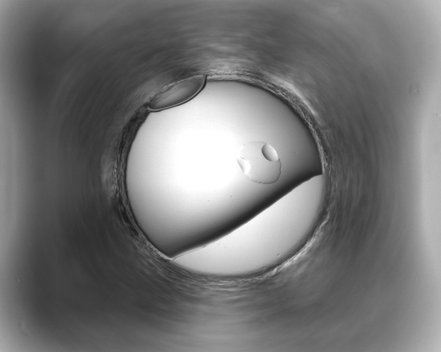 X0000089681211200706210807