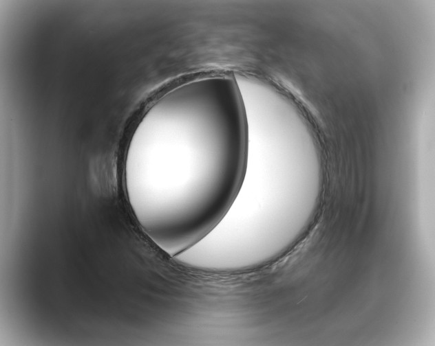 X0000089681214200706210807