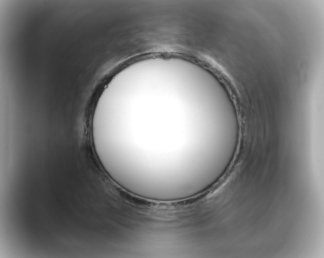 X0000089681215200706210807