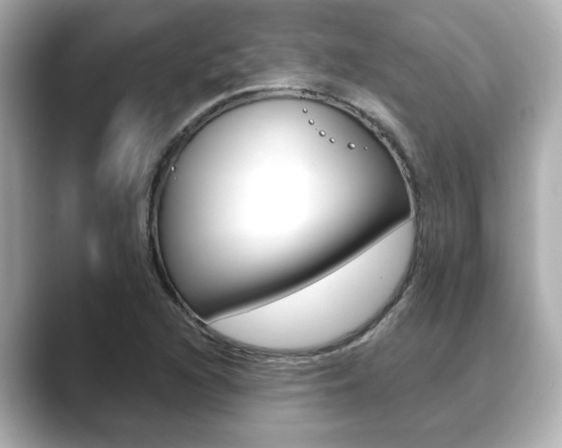 X0000089681216200706210807