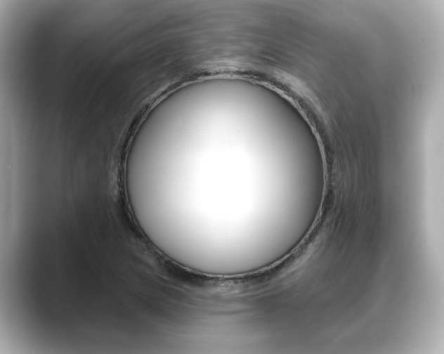 X0000089681217200706210807