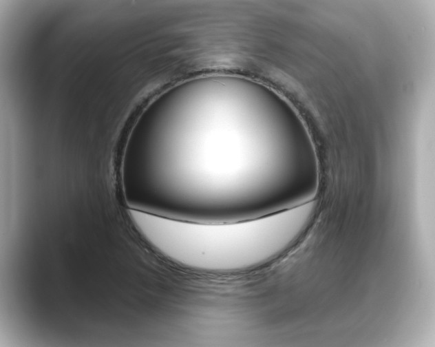 X0000089681218200706210807