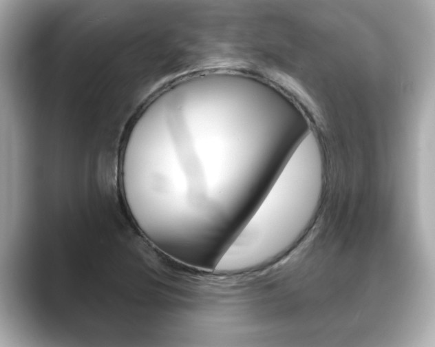 X0000089681220200706210807