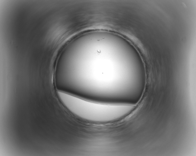 X0000089681224200706210807