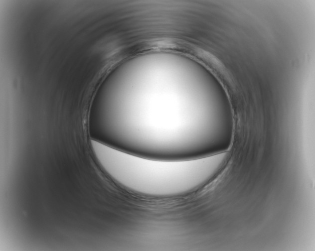 X0000089681225200706210807