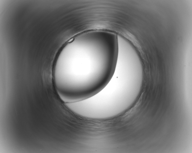 X0000089681226200706210807