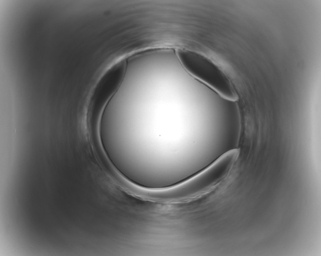 X0000089681230200706210807