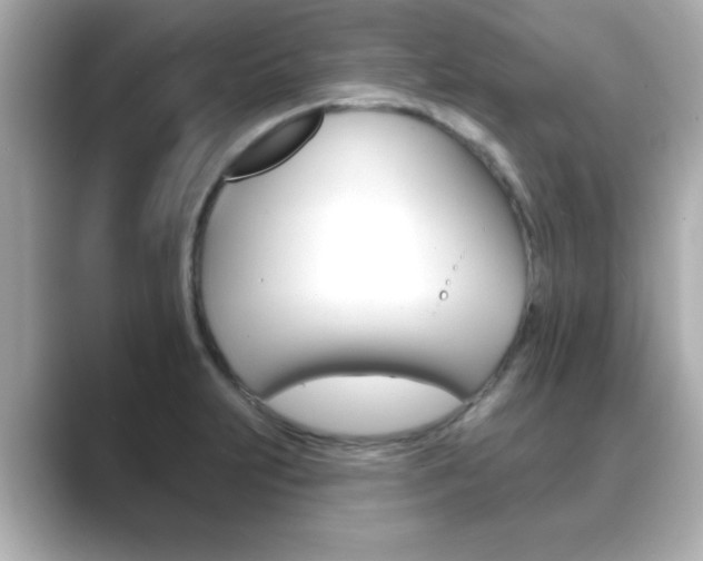 X0000089681231200706210807
