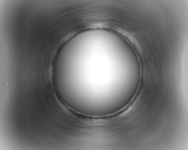 X0000089681233200706210807