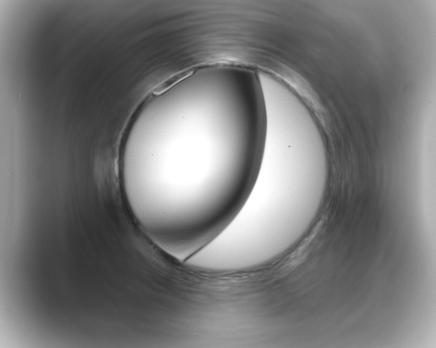 X0000089681234200706210807