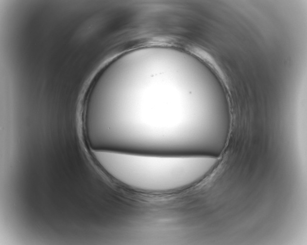 X0000089681235200706210807
