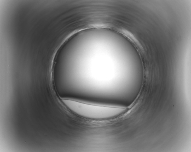 X0000089681236200706210807