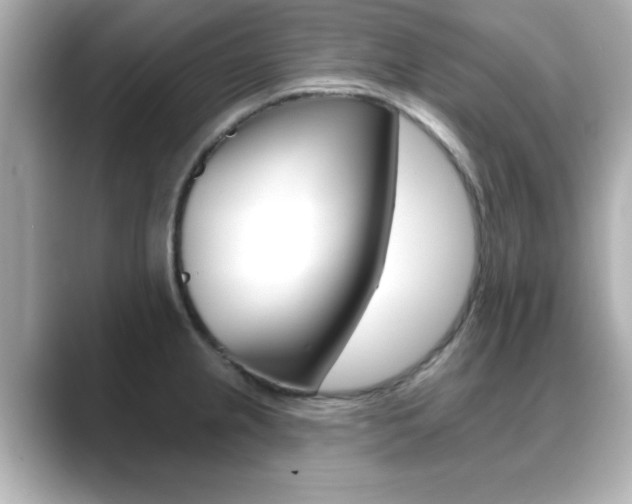 X0000089681237200706210807