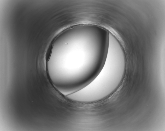 X0000089681238200706210807
