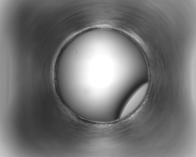 X0000089681240200706210807