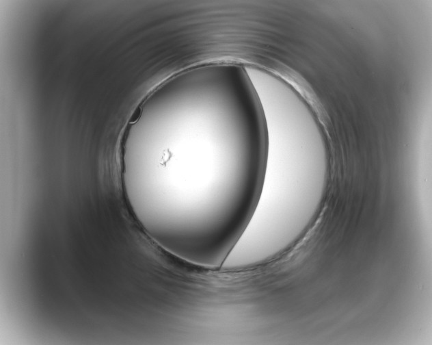 X0000089681242200706210808