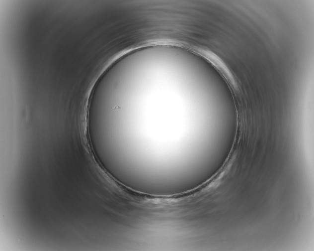 X0000089681244200706210808