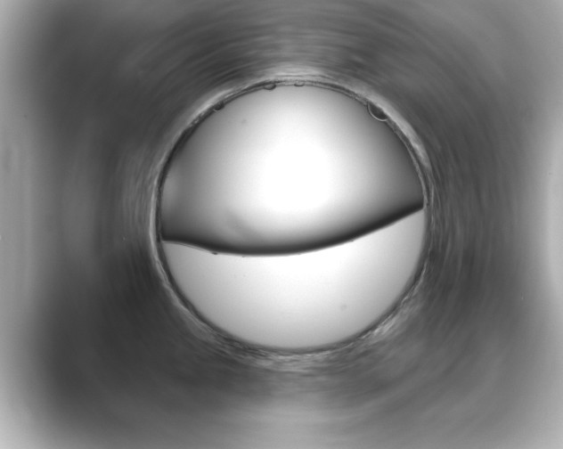 X0000089681245200706210808