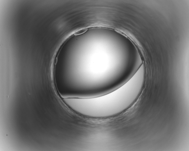 X0000089681246200706210808